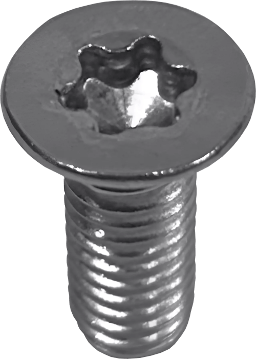 Boundary Stainless Steel High Tensile Torx Screws